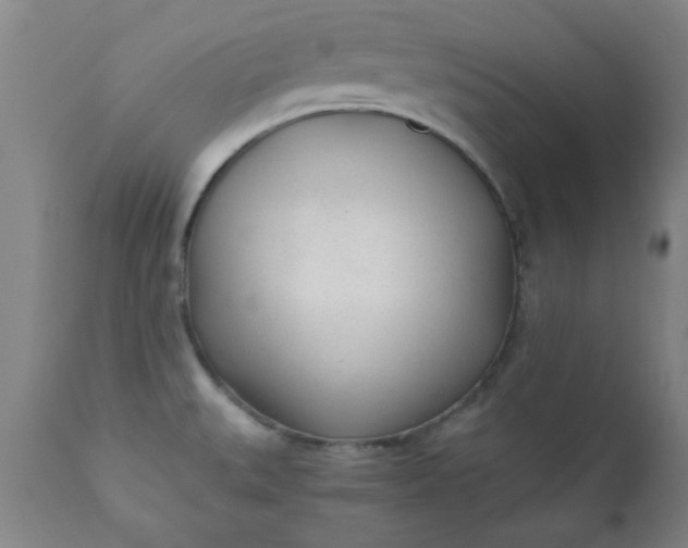 X0000110671527200906261245