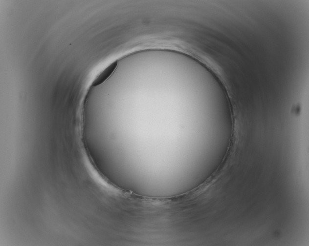 X0000110671528200906261245