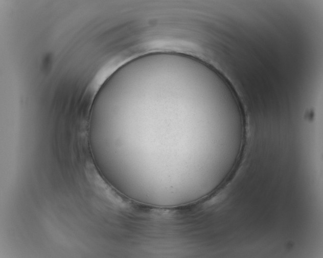 X0000110671529200906261245
