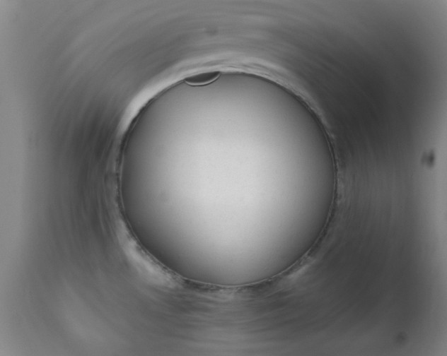 X0000110671530200906261245