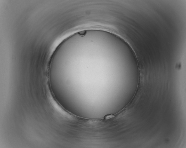 X0000110671531200906261245