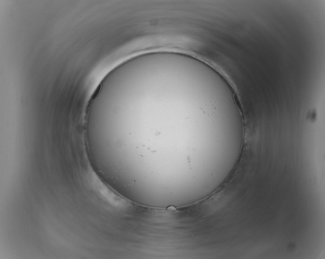 X0000110671532200906261245
