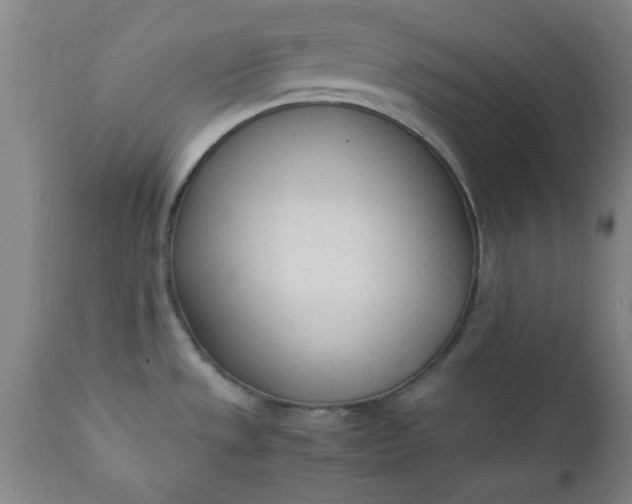 X0000110671533200906261245