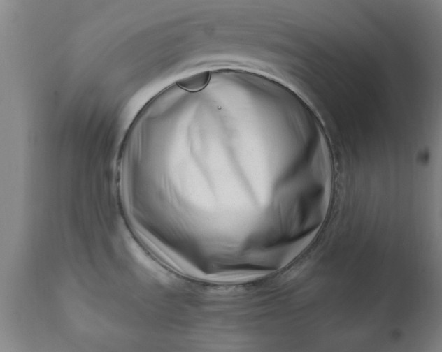 X0000110671535200906261245