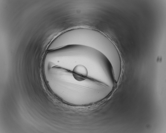 X0000110670001200907021857