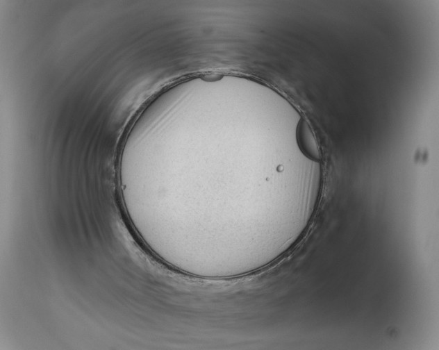 X0000110670002200907021857