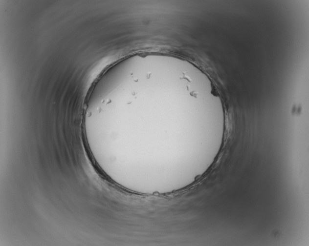 X0000110670003200907021857