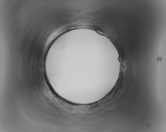 X0000110670004200907021857