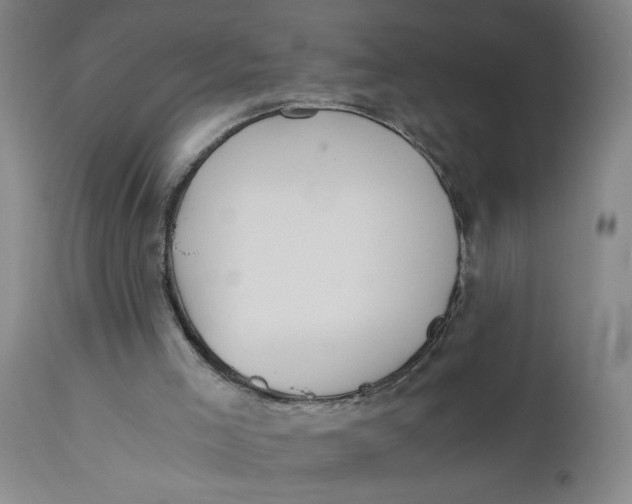 X0000110670005200907021857