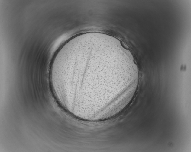 X0000110670006200907021857