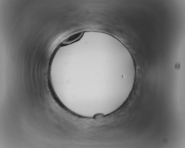 X0000110670007200907021857