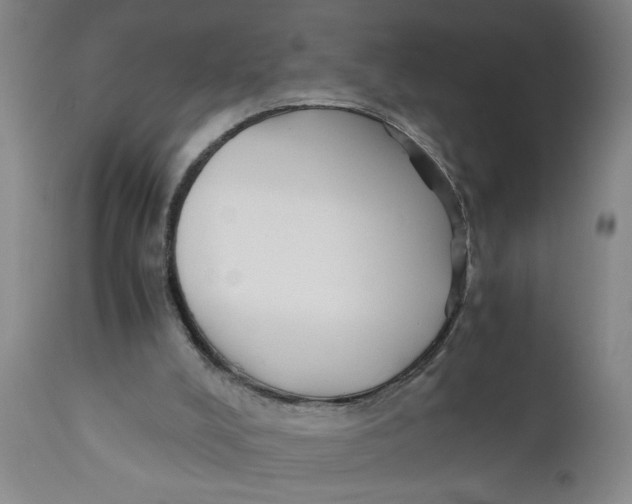 X0000110670008200907021857