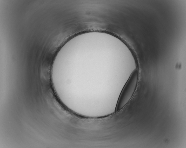 X0000110670009200907021857