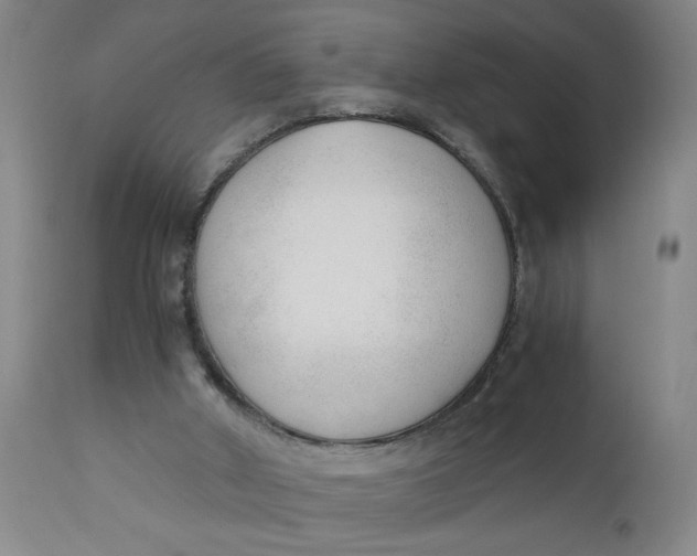 X0000110670010200907021857