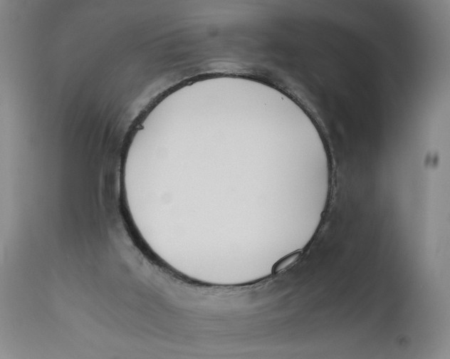 X0000110670011200907021857