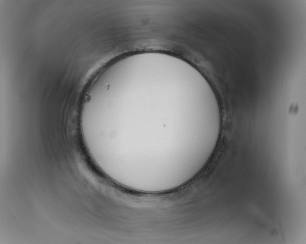 X0000110670012200907021857