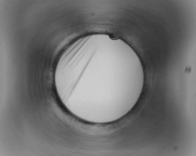 X0000110670016200907021857