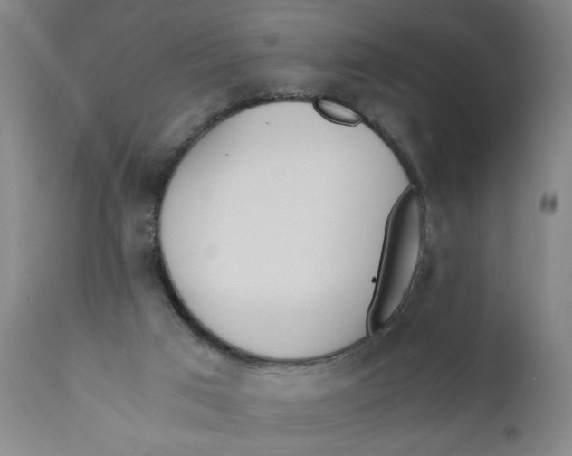 X0000110670017200907021857