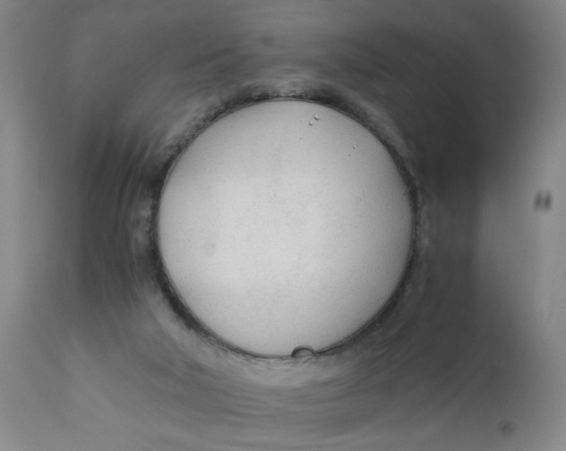 X0000110670018200907021857