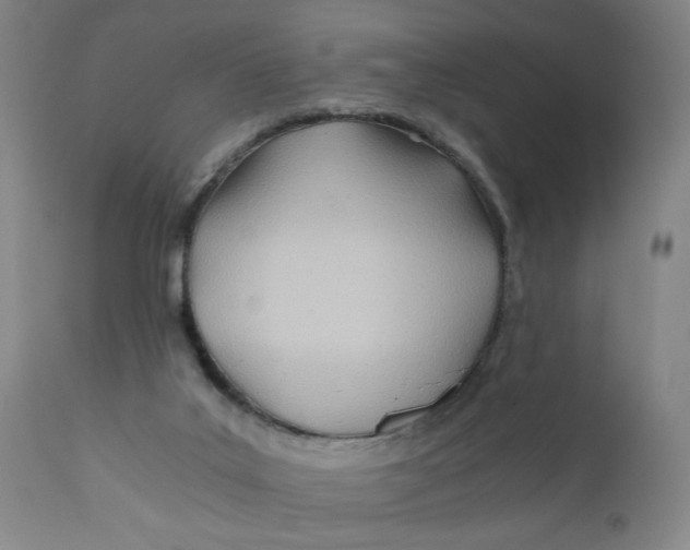 X0000110670019200907021857