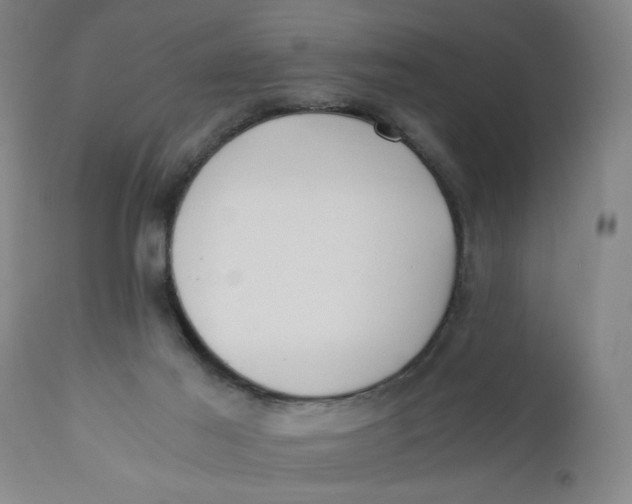X0000110670021200907021857