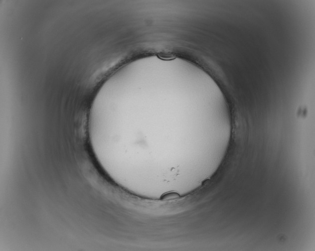 X0000110670023200907021857
