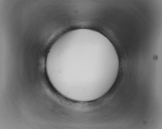 X0000110670024200907021857