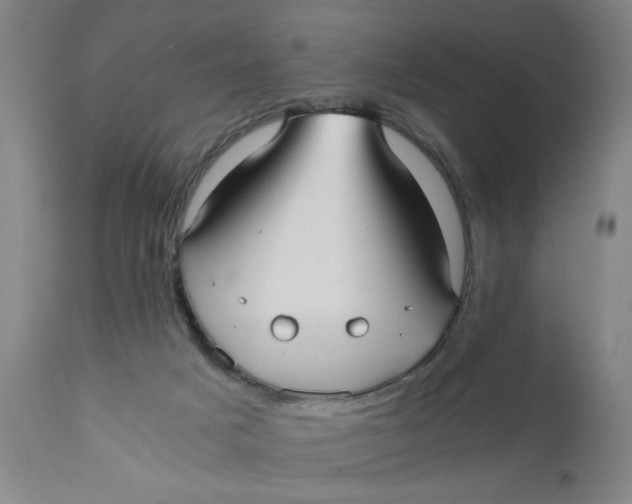 X0000110670025200907021857