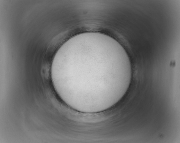 X0000110670026200907021857