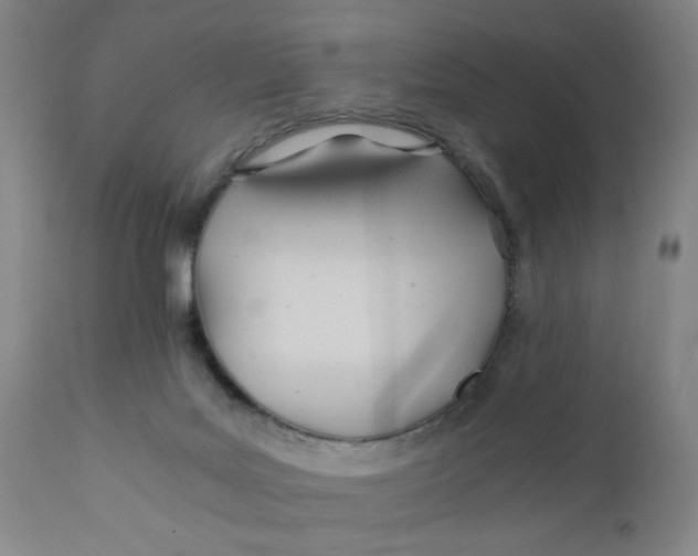 X0000110670027200907021857