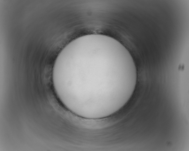 X0000110670030200907021857