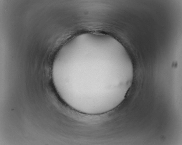 X0000110670031200907021857