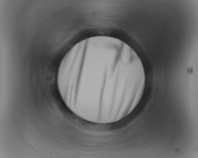 X0000110670032200907021857