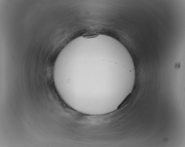 X0000110670033200907021857