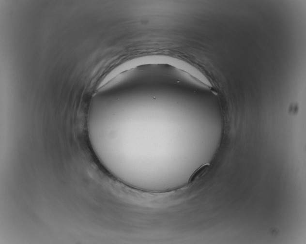 X0000110670035200907021857