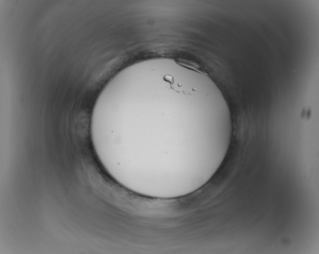 X0000110670036200907021857