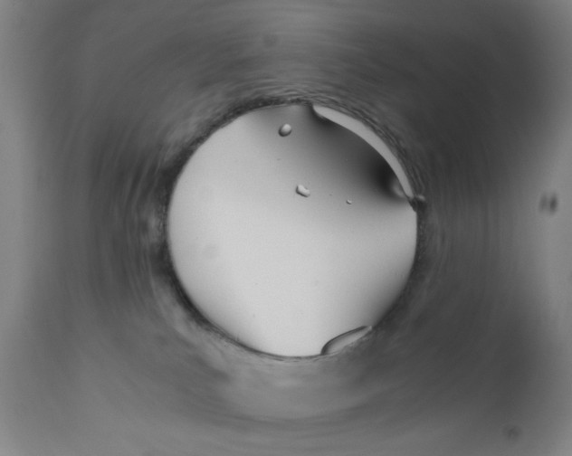 X0000110670039200907021856