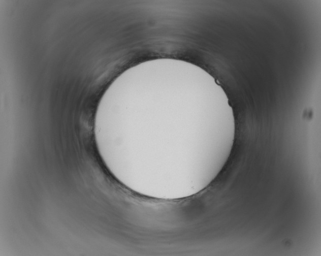 X0000110670040200907021856
