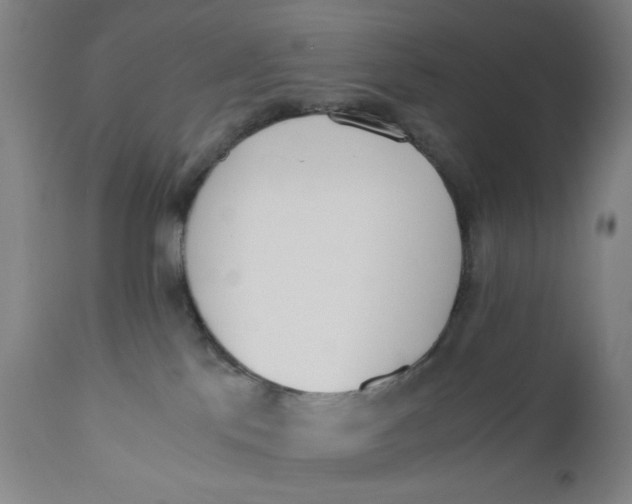 X0000110670041200907021856