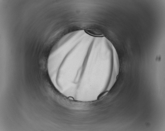 X0000110670044200907021856