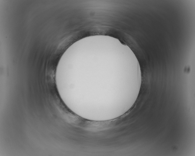 X0000110670045200907021856