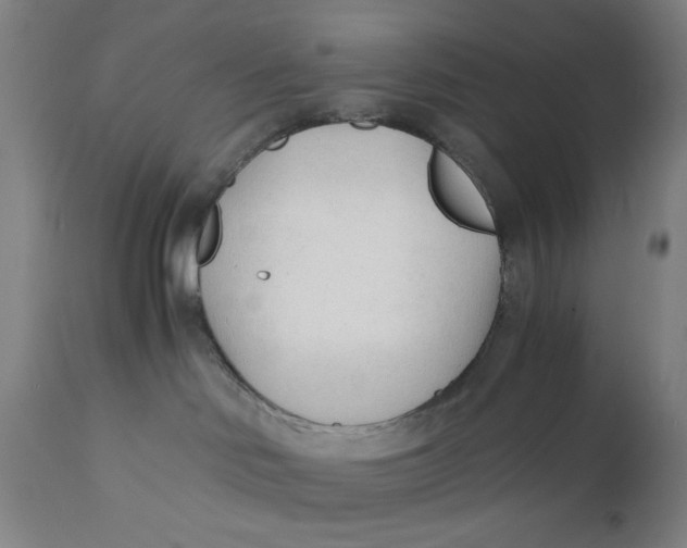 X0000110670046200907021856