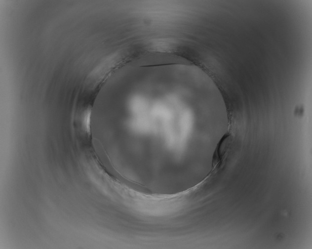 X0000110670047200907021856