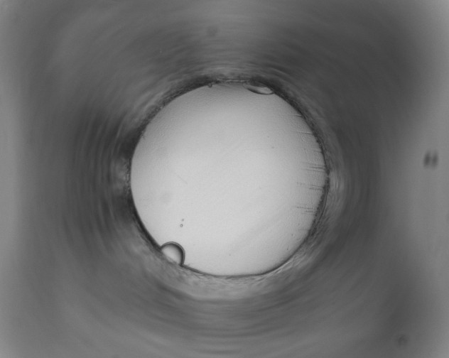X0000110670048200907021856