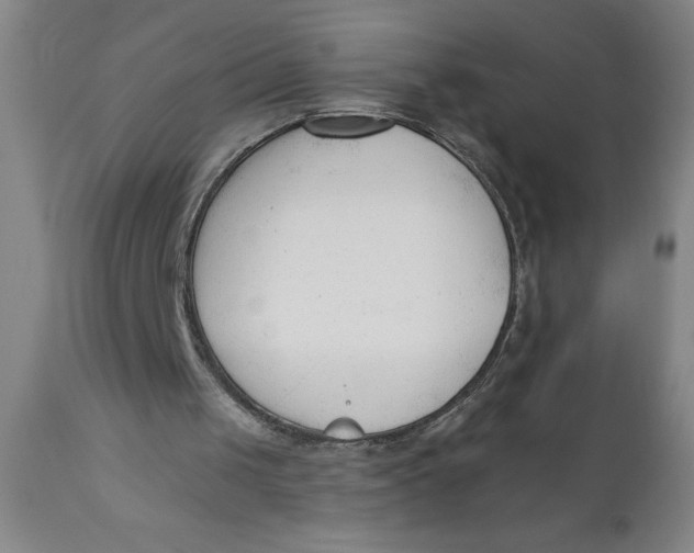X0000110670049200907021856