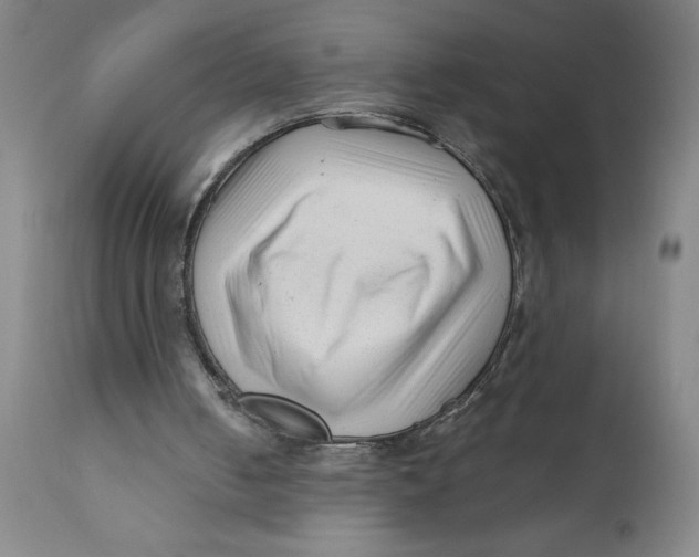 X0000110670050200907021856
