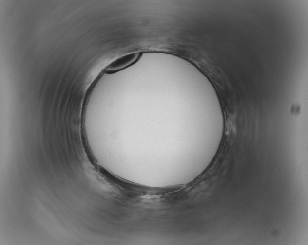X0000110670052200907021856