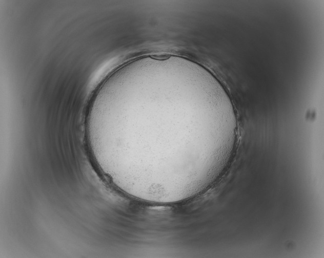 X0000110670053200907021856