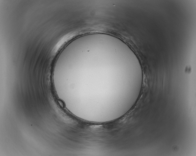 X0000110670054200907021856