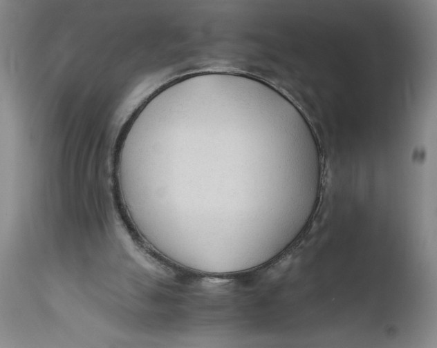 X0000110670055200907021856